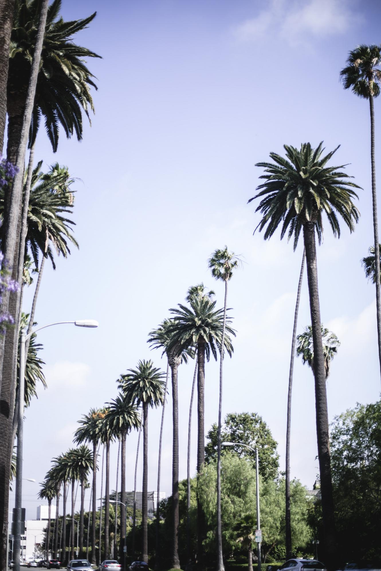 beverly hills, los angeles